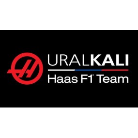 Haas F1 Team Logo Toppe...