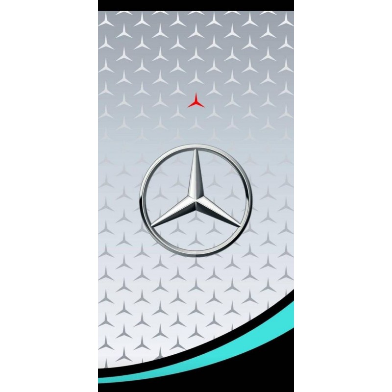 Mercedes Petronas F1 Logo Adesivi Finitura Adesivo in Vinile per telai e  carrozzerie Taglia Grande Modello LOGO